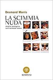 scimmia