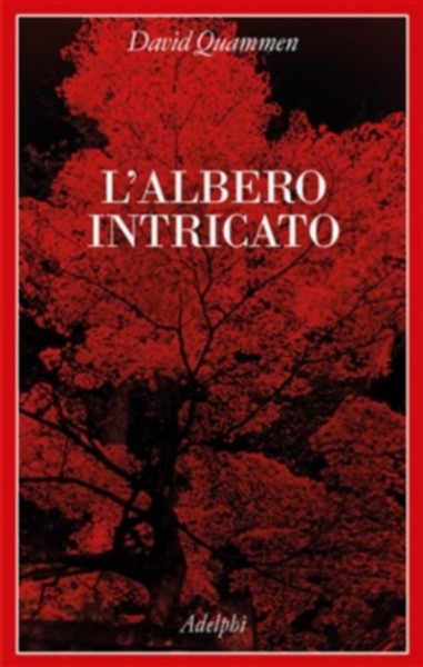 albero